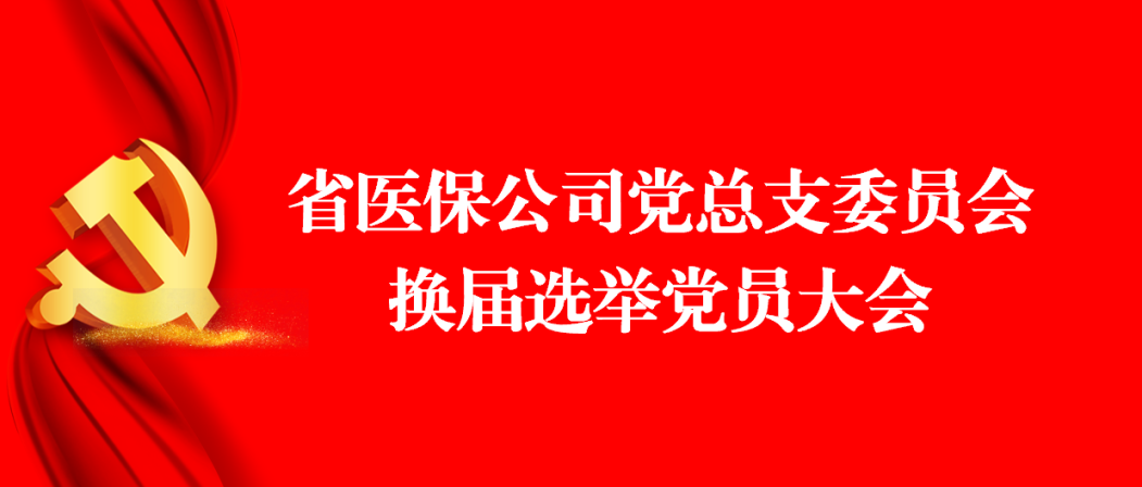 省银河集团186net公司党总支顺利召开换届选举大会